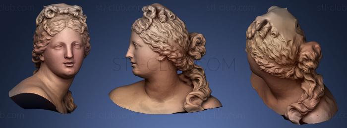 3D model Venus Buste (STL)